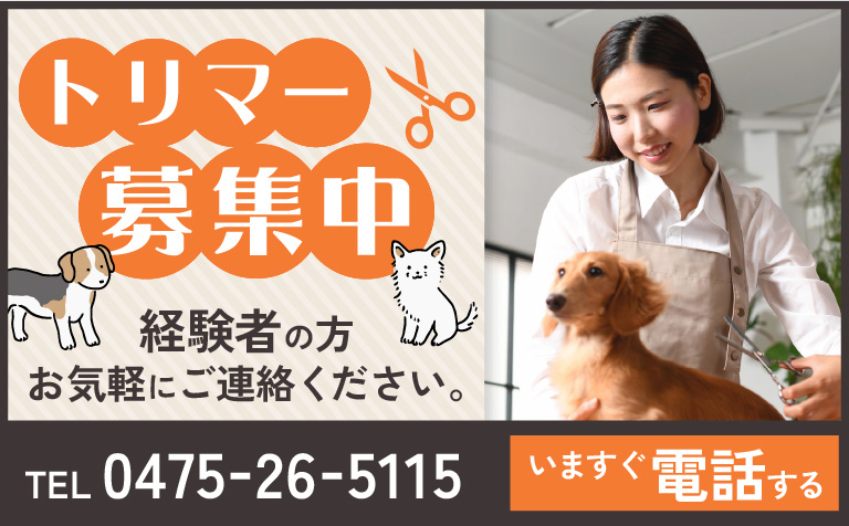 トリマー募集中 経験者の方お気軽にご連絡ください。